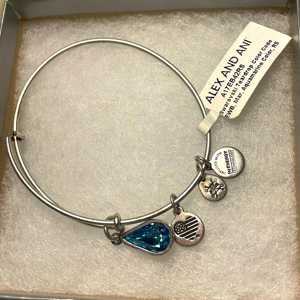 Alex & Ani Anchor Charm Silver Bangle Bracelet Jewelry Nautical Beach Boat
